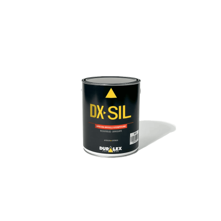 DX Sil - Peinture haute température pour radiateur - Ekits.fr®
