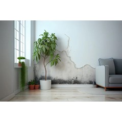 Kit réparation humidités et moisissures (TAILLE L) - Ekits.fr®