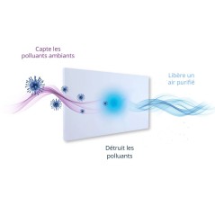 DX Air Clean SATIN - Peinture purifiante - Ekits®