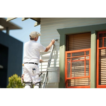 Capawood Opaque NQG - Peinture bois extérieure