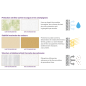 Capawood Opaque NQG - Peinture bois extérieure