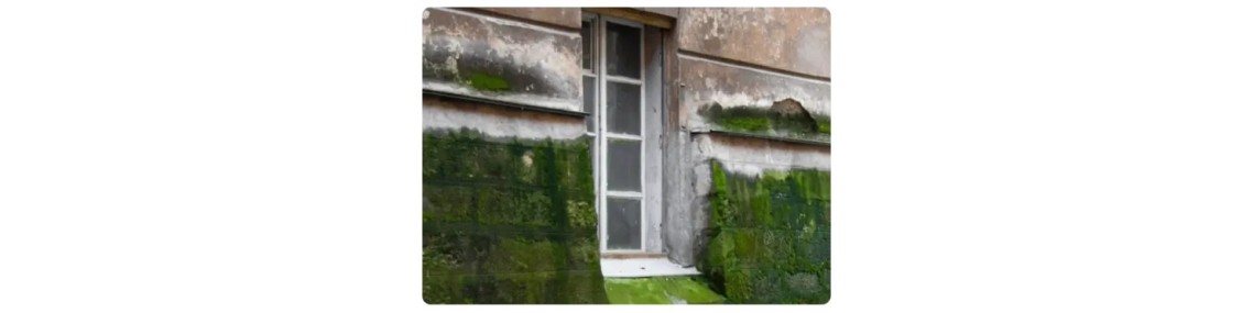 Produit anti-mousse pour façade - Ekits®