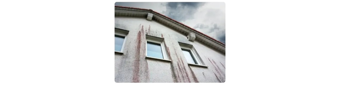 Nettoyant pour façade - Ekits®