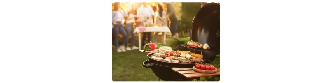 Peinture pour barbecue - Ekits.fr®