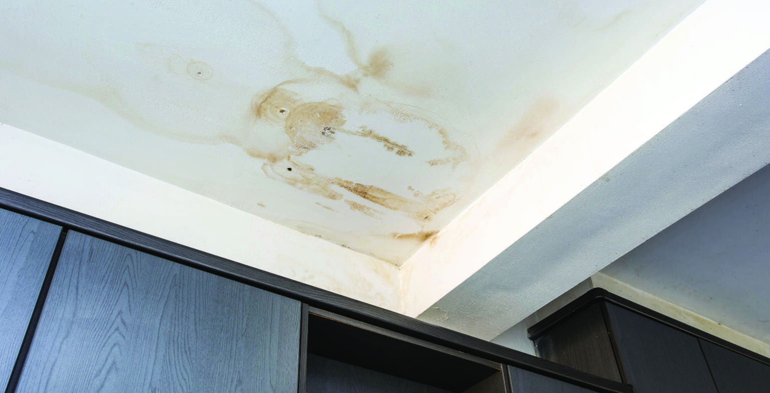 Comment choisir une peinture anti-humidité efficace pour vos murs ou plafonds ?