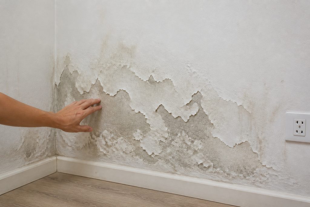 Peinture qui s'écaille : solutions murs impeccables