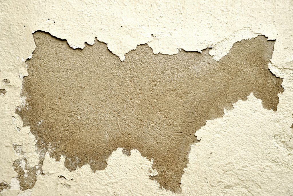 Peinture qui s&rsquo;écaille : solutions murs impeccables